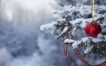 snowy-christmas-tree-hd-2.jpeg