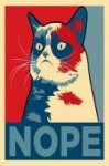 Custom-Canvas-Art-Grumpy-Cat-Poster-Grumpy-Cat-Wallpaper-Fu[...].jpg