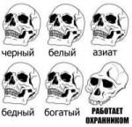  .jpg