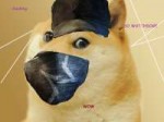 IMG20180319144824437.jpg
