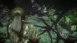 Rise of the Tomb Raider20161017225539.webm