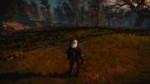 witcher32016-01-2122-09-27-01.png