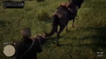 BlueImpossibleBlacklemur-mobile.mp4