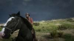 Red Dead Redemption 220181114233245.png