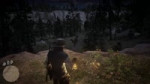Red Dead Redemption 220181120192903.webm