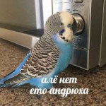 image.jpeg
