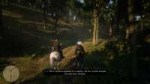 Red Dead Redemption 220181122073411.png