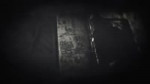 Red Dead Redemption 220181126211846.mp4