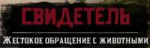 Red Dead Redemption 220181126231610.png