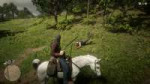 Red Dead Redemption 220181121232817.png