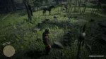 Red Dead Redemption 220181124194349.png