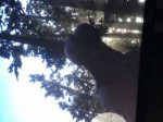 B73296A0-278D-4CC3-A54E-3B2D6682882F.jpeg