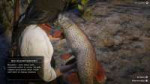 Red Dead Redemption 220181207023830.png