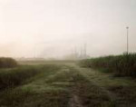 lirette-001-refinerycanefield-lg.jpg