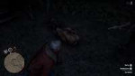 Red Dead Redemption 220181222025216.png