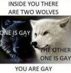 thumbinside-you-there-are-two-wolves-e-is-gay-ihe-45394073.png