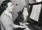 cat-singer.jpg