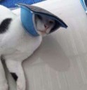 dQdCbSC0z5Q
