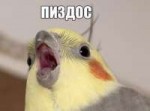 14518969943270.jpg