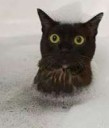15015001114940