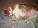 moneycat21.jpg