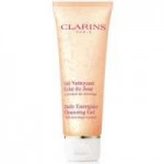 clarins20cleaner20gel20shot0.jpg