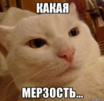 изображение.png