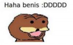 .jpg