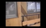 bj.mp4