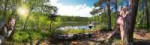 panoramic-forest-42592494.jpg