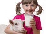 goatmilk1.jpg