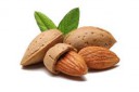 Almond-PNG-File