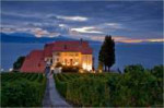 House in the Vineyards (Lavaux.jpg