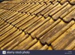a-roof-with-golden-roof-tiles-D3R90H.jpg