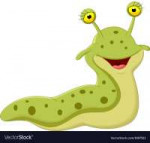 cute-slug-cartoon-vector-1697523.jpg