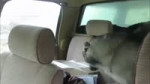 пс.mp4
