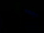 15634014053380.webm