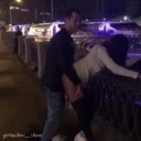 Ебутся на Набережной Шевченка [ОРУ!].mp4