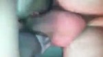 d236a6fba1.360.mp4