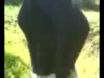 1567923463826.mp4