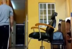 15600685183440.webm