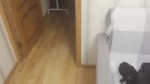 173035955907729593.mp4