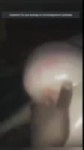 16974686447321.mp4