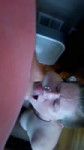 1740957397915642.webm