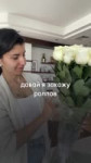 stream-video.mp4