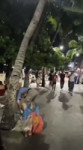 a.mp4