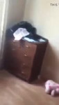 Кавказец заставляет блонду сосать хуи Любительское порно.mp4