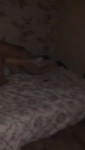 video2024-04-3002-17-50.mp4