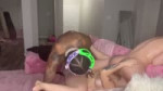 emE0KGGN1rtUEvP-.mp4