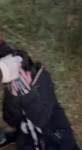 VID20250612234409207.mp4